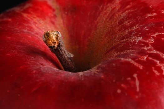 close-up of red apple