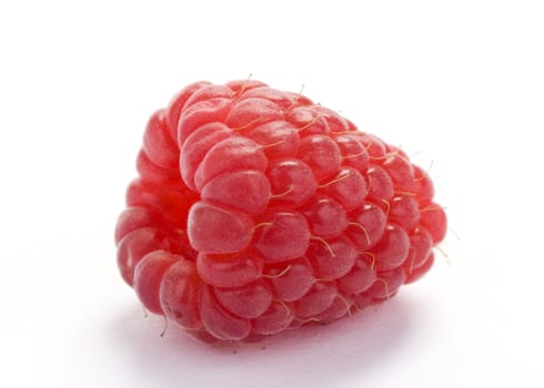 single raspberry on white background