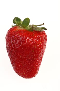 Red strawberry on white background