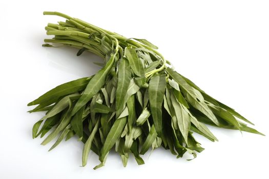 Fresh morning glory - water spinach