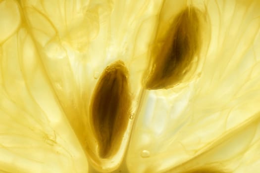 Great detail macro of a lemon slice against window to make it see through, dynamic almost abstract food background.