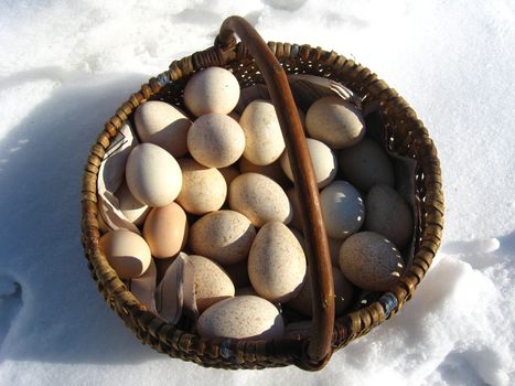 Basket with eggs of the turkeystanding on a snow