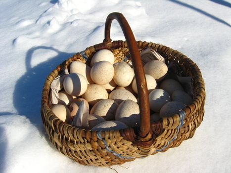 Basket with eggs of the turkeystanding on a snow