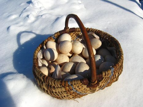Basket with eggs of the turkeystanding on a snow
