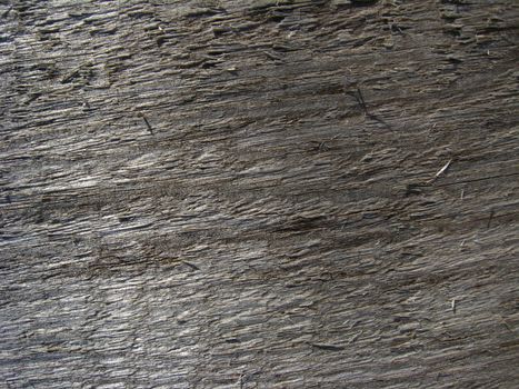 Pattern of dark wooden on a cut of a tree