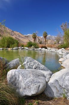 A small pond in Whitewater Canyon creates a desert oasis near the town of Palm Springs, California.