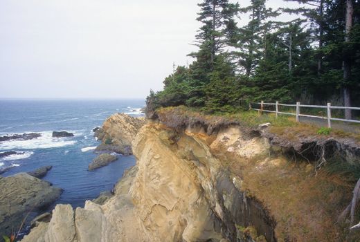 View of eroding cliffs at Shore Acres Park along the southern coast of Oregon.