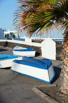 Boats and palm on the coast. Lanzarote, Canary, Spaine