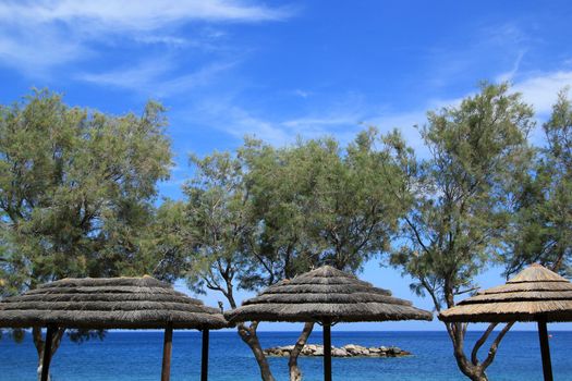 Straw umbrellas next to the sea and trees by beautiful weather