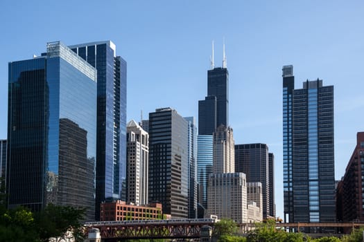 Skyline of Chicago from the river with Willis tower in distance