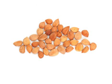 nuts from dried apricots