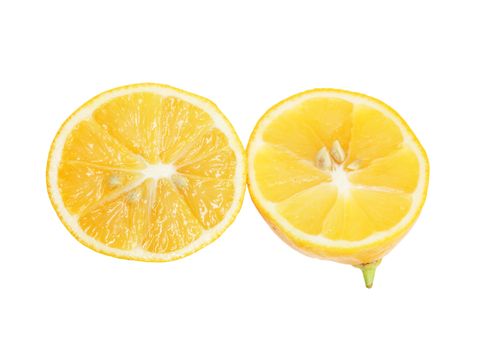 lemon on a white background