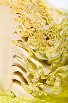 fresh savoy cabbage  isolated on white background