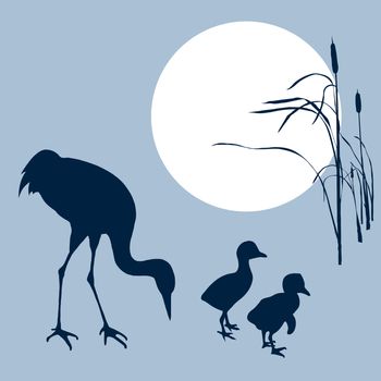 crane with nestling silhouette on solar background