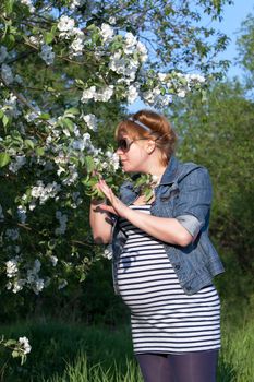 Pregnant woman sniffing the blooming apple tree