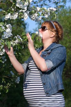 Pregnant woman touching the blooming apple tree