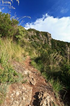 pathway between Mediterranean vegetation in Portofino Natural Park, Italy