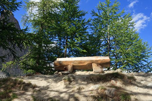 wooden bench betwwen trees in Italian Alps