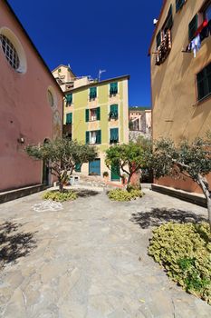 small square with stone paving and olive trees in Sori, Liguria, Italy