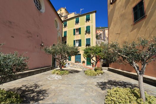 typical small square with stone paving and olive trees in Sori, Liguria, Italy