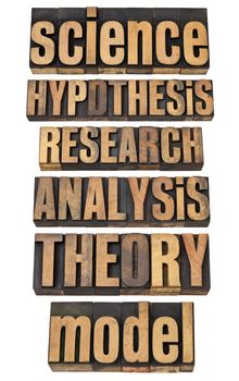 science related terms - a collage of isolated words in vintage letterpress wood type - hypothesis, research, analysis, theory, model