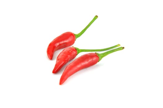 Red hot chili pepper isolated on a white background 