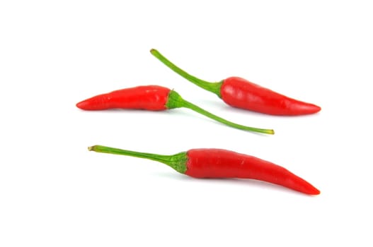 Red hot chili pepper isolated on a white background 