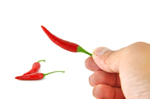 Red hot chili pepper isolated on a white background