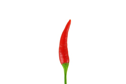 Red hot chili pepper isolated on a white background 
