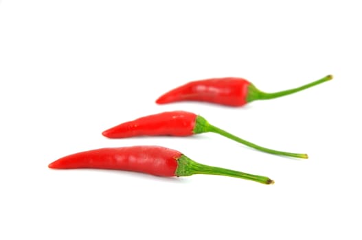 Red hot chili pepper isolated on a white background