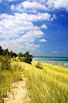 Sand dunes at beach shore. Pinery provincial park, Ontario Canada