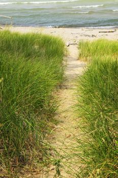 Entrance path to beach. Pinery provincial park, Ontario Canada