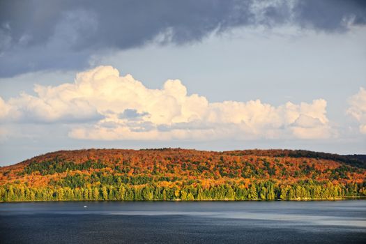 Forest of colorful autumn trees with lake and dramatic sky