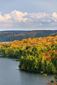 Fall forest of colorful autumn trees on islands in calm lake