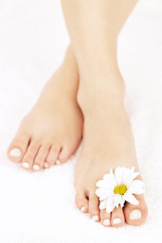 Soft female feet with pedicure and flowers close up