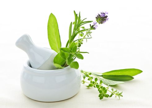 Healing herbs in white ceramic mortar and pestle