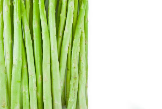 Asparagus sprouts isolated on white background