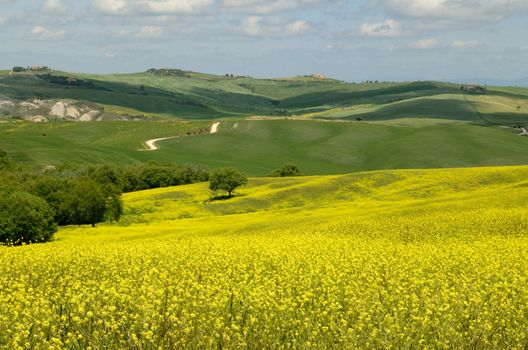 One of the most beautiful country landscape in Tuscany