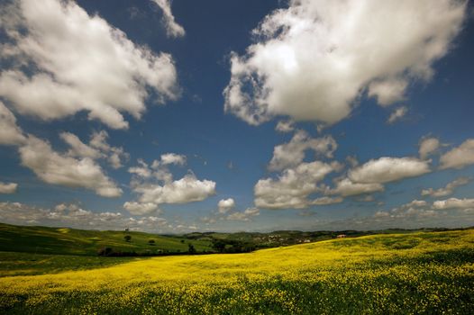 One of the most beautiful country landscape in Tuscany