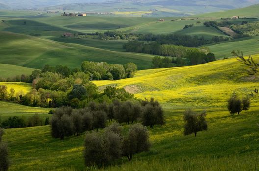 One of the most beautiful country landscape in Tuscany