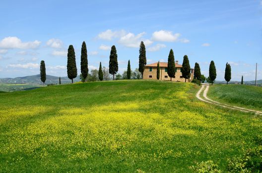 One of the most beautiful country landscape in Tuscany