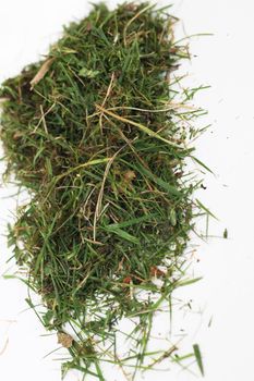 Image of small pile of green grass on white background.