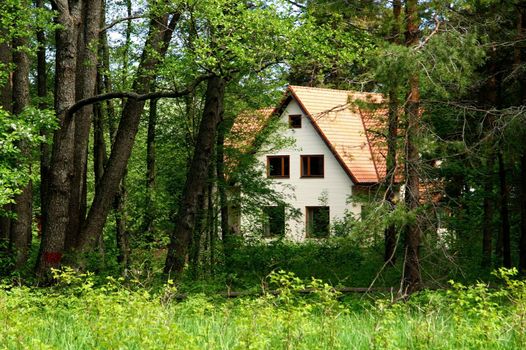 The two-storeyed house is behind trees in a forest