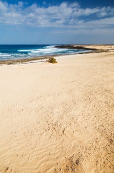 Open beach on a tropical island. Lanzarote. Canarian island. Vertical view