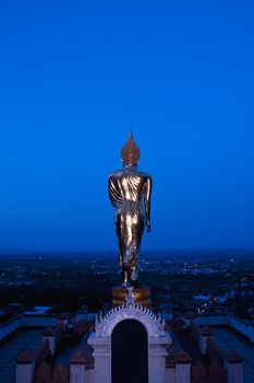 Buddha Standing Color Gold in Background blue sky.