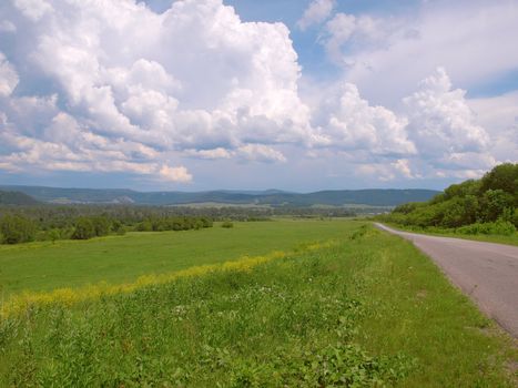 Summer landscape