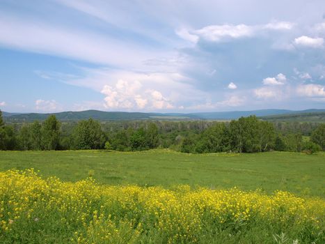 Summer landscape with mountains