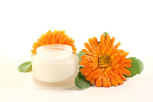 fresh marigold salve with Calendula flowers and leaves