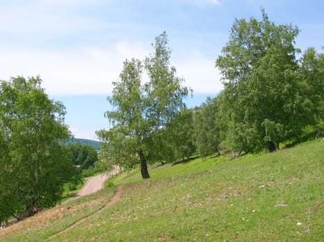 Road in the mountains