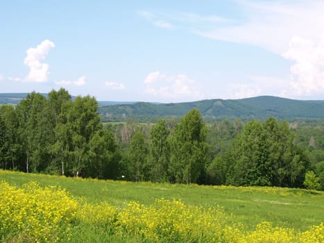 Beautiful summer landscape